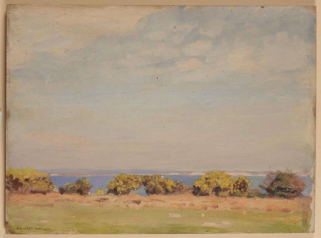Veduta di Studland